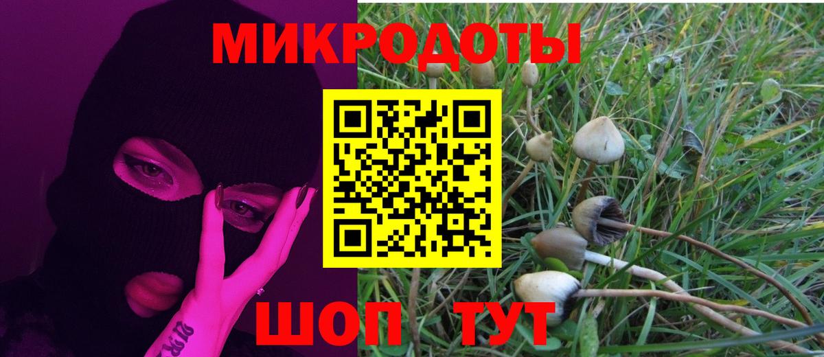 Псилоцибиновые грибы прущие грибы  Псилоцибиновые грибы Psilocybe  Вход с VPN  наркота  Ейск 